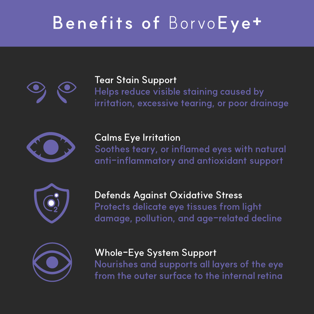 Infographic showing BorvoEye+ benefits for dogs — reduces tear stains, calms eye irritation, defends against oxidative stress, and supports full eye health.