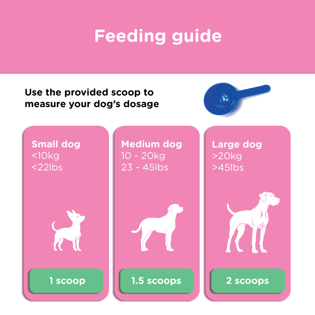 BioFunction8 | Promote Dogs' Gut Health Naturally - Seaweed For Dogs