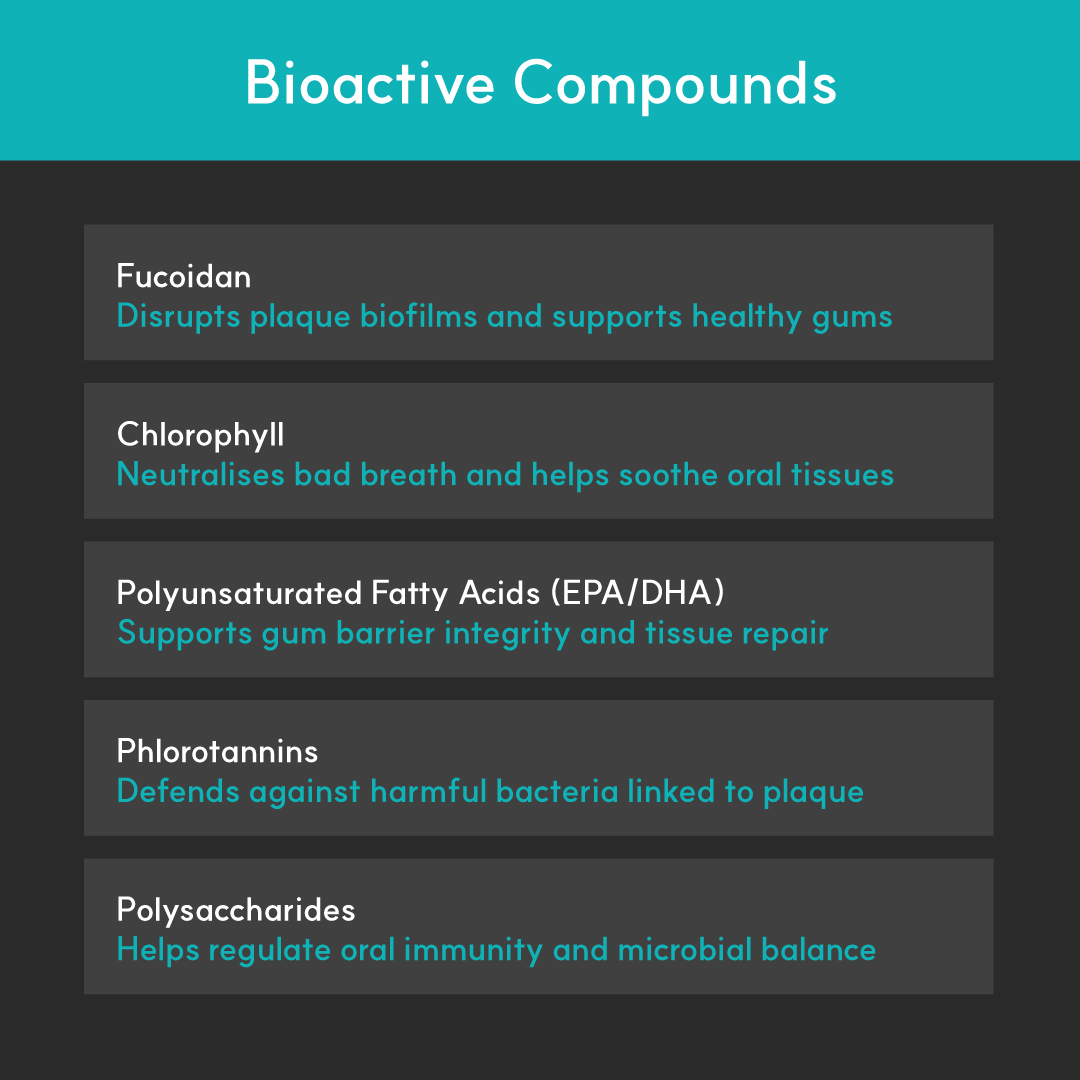 Infographic listing BorvoDental+ bioactives — fucoidan, chlorophyll, EPA/DHA fatty acids, phlorotannins, and polysaccharides for gum and oral support.
