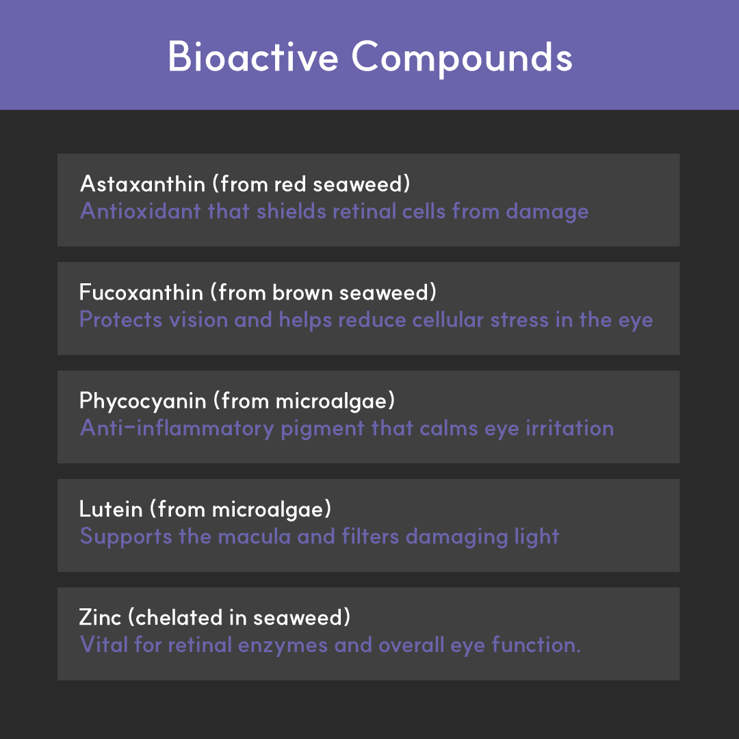 Infographic listing BorvoEye+ bioactives — astaxanthin, fucoxanthin, phycocyanin, lutein, and zinc for antioxidant and anti-inflammatory eye support.