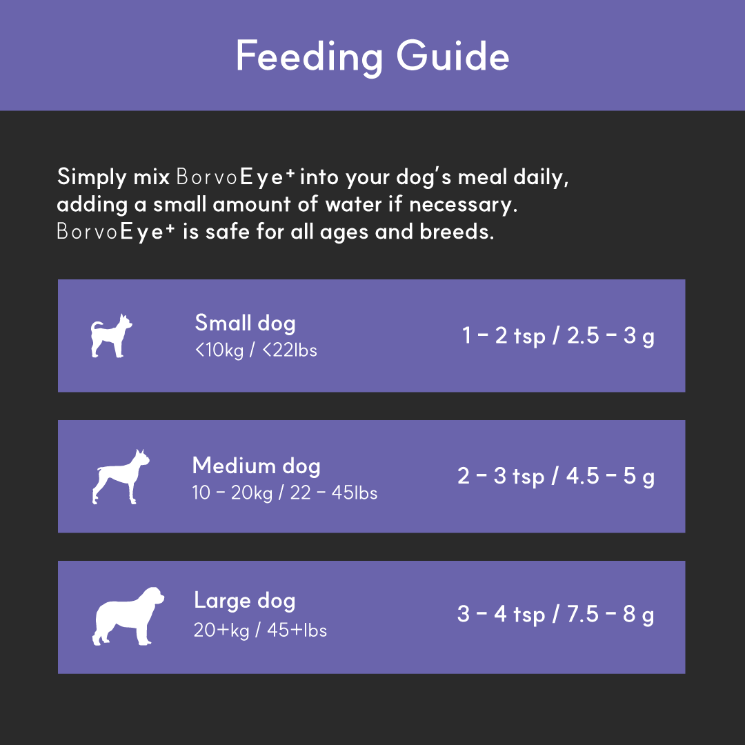 Feeding guide for BorvoEye+ — small dogs 2.5–3g, medium 4.5–5g, large 7.5–8g daily mixed into food.