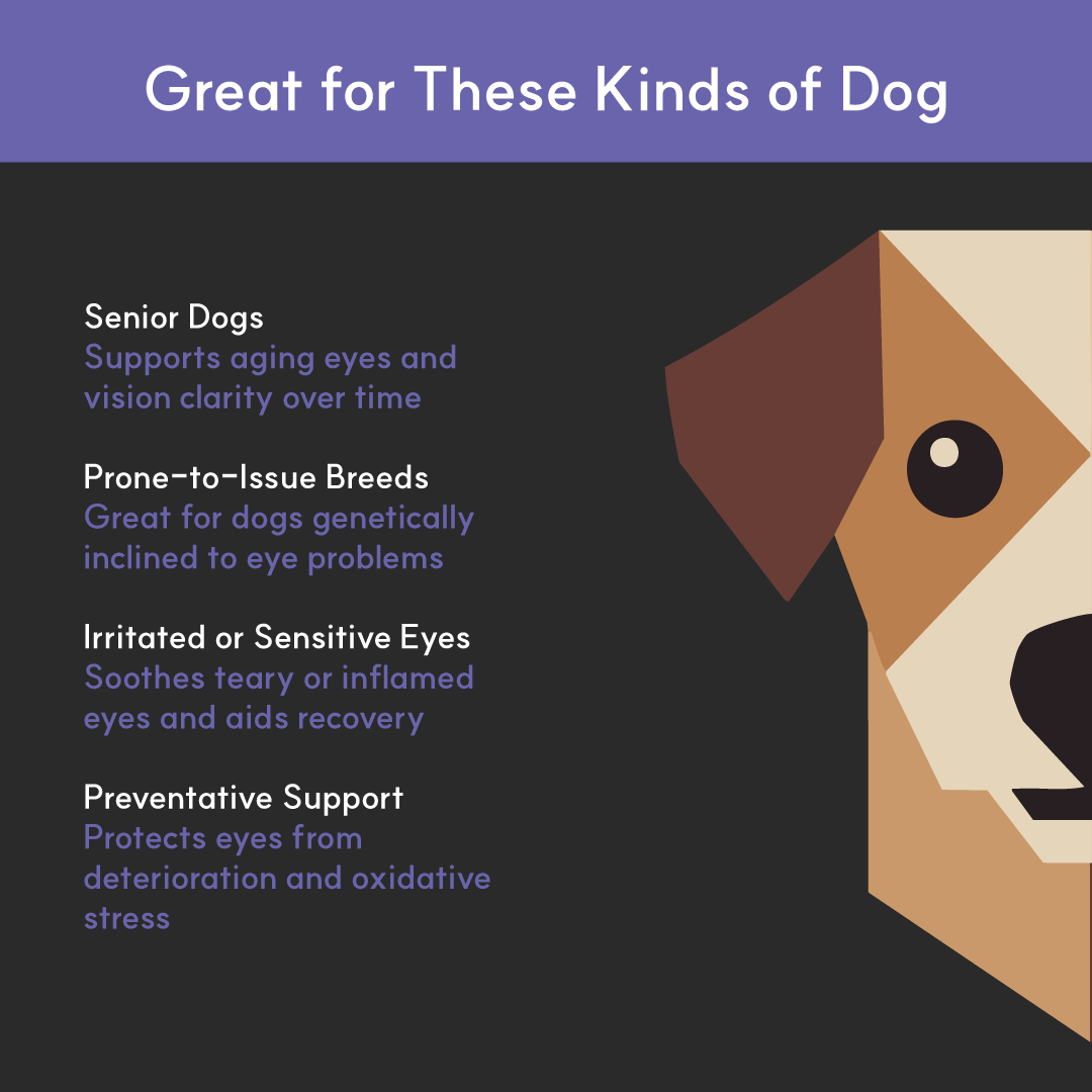 Infographic showing ideal dogs for BorvoEye+ — senior dogs, tear-prone breeds, dogs with irritated eyes, and preventative care needs