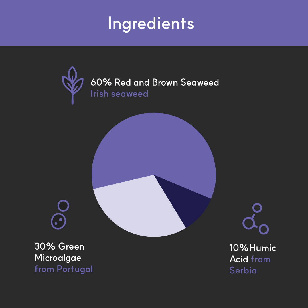 Pie chart of BorvoEye+ ingredients — 60% Irish red and brown seaweed, 30% Portuguese microalgae, and 10% Serbian humic acid.