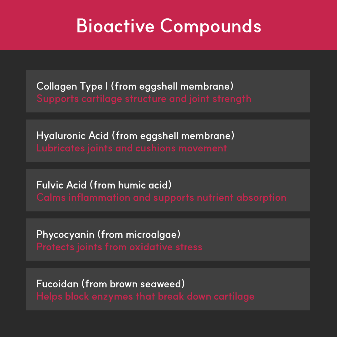 Infographic listing BorvoJoint+ bioactives — collagen, hyaluronic acid, fulvic acid, phycocyanin, and fucoidan for cartilage and joint strength.