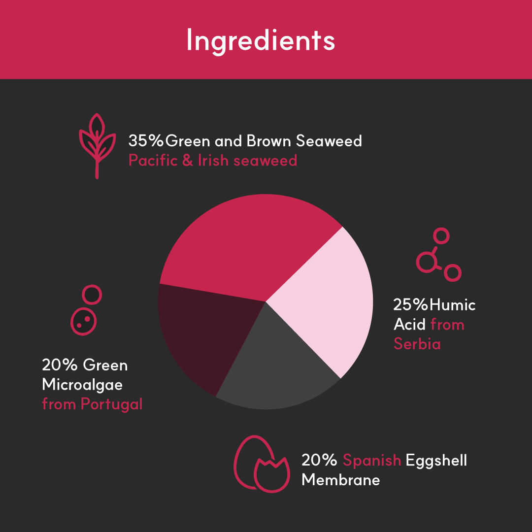Pie chart of BorvoJoint+ ingredients — 35% Irish and Pacific seaweed, 25% Serbian humic acid, 20% Portuguese microalgae, and 20% Spanish eggshell membrane.