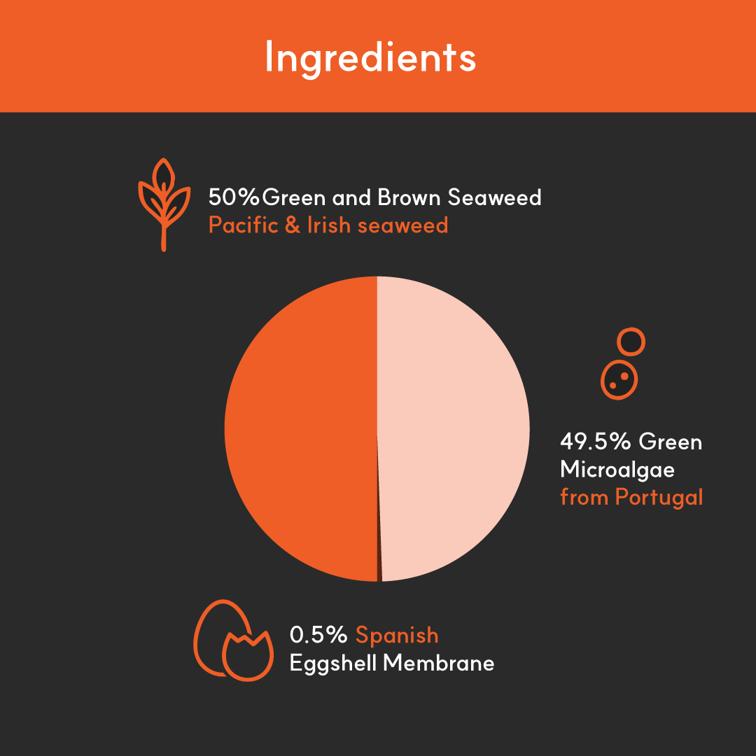 Pie chart of BorvoSkin&Coat+ ingredients — 50% green and brown seaweed, 49.5% Portuguese microalgae, 0.5% Spanish eggshell membrane.