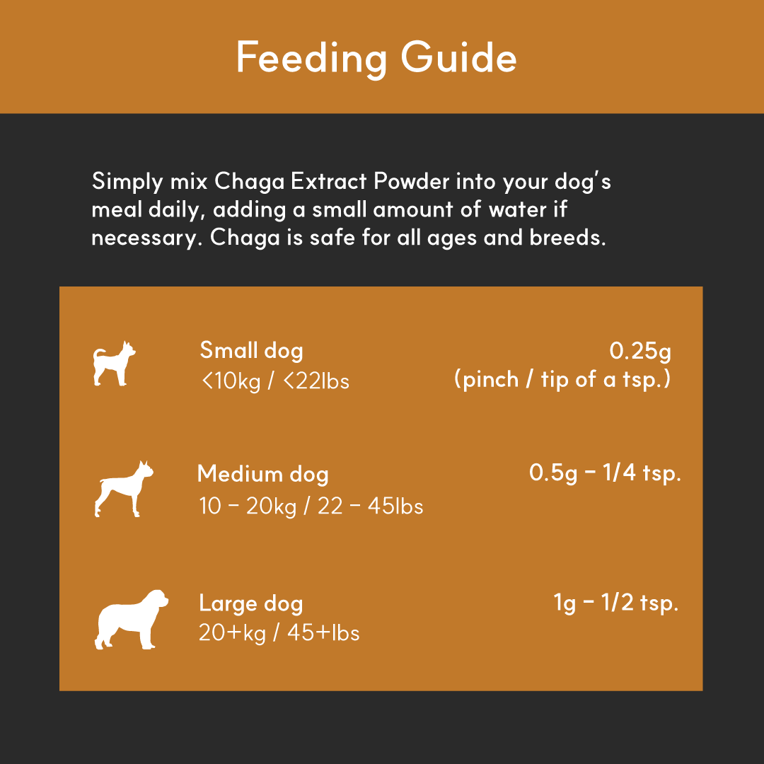 Borvo Nutrients Chaga Mushroom Extract for Dogs — mix daily into food; safe for all breeds and ages.
Small dog (<10 kg / 22 lbs): 0.25 g (about a pinch / tip of a tsp)
Medium dog (10–20 kg / 22–45 lbs): 0.5 g (¼ tsp)
Large dog (20 kg+ / 45 lbs+): 1 g (½ tsp)