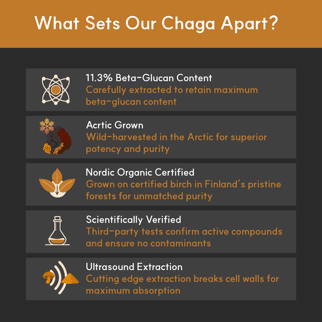 Borvo Nutrients Chaga Extract — wild-harvested Arctic Chaga with 11.3% beta-glucans, Nordic Organic Certified, ultrasound extracted
