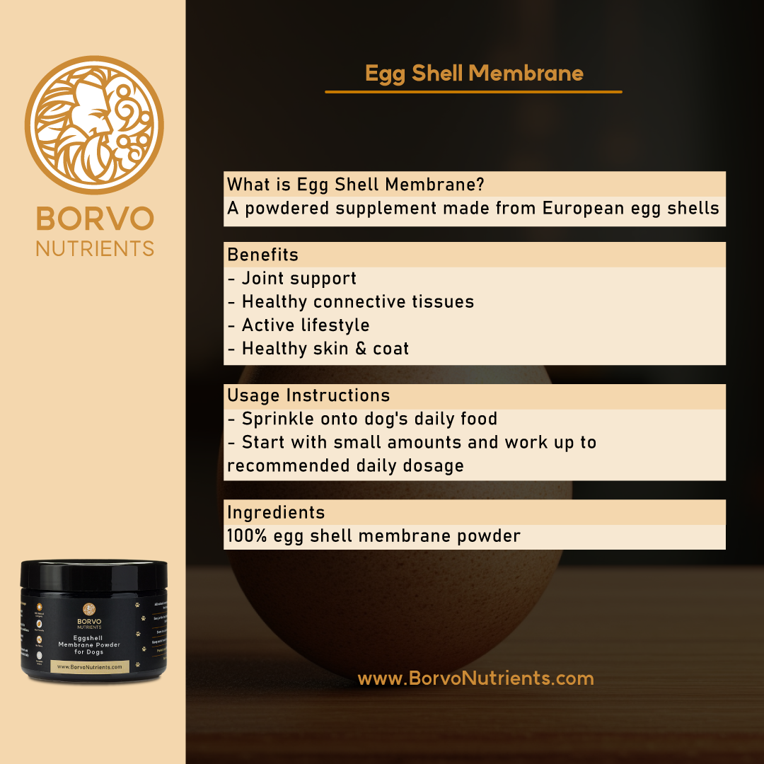 Borvo Nutrients Eggshell Membrane — supports joints, connective tissues, skin, and coat; ideal for active and senior dogs