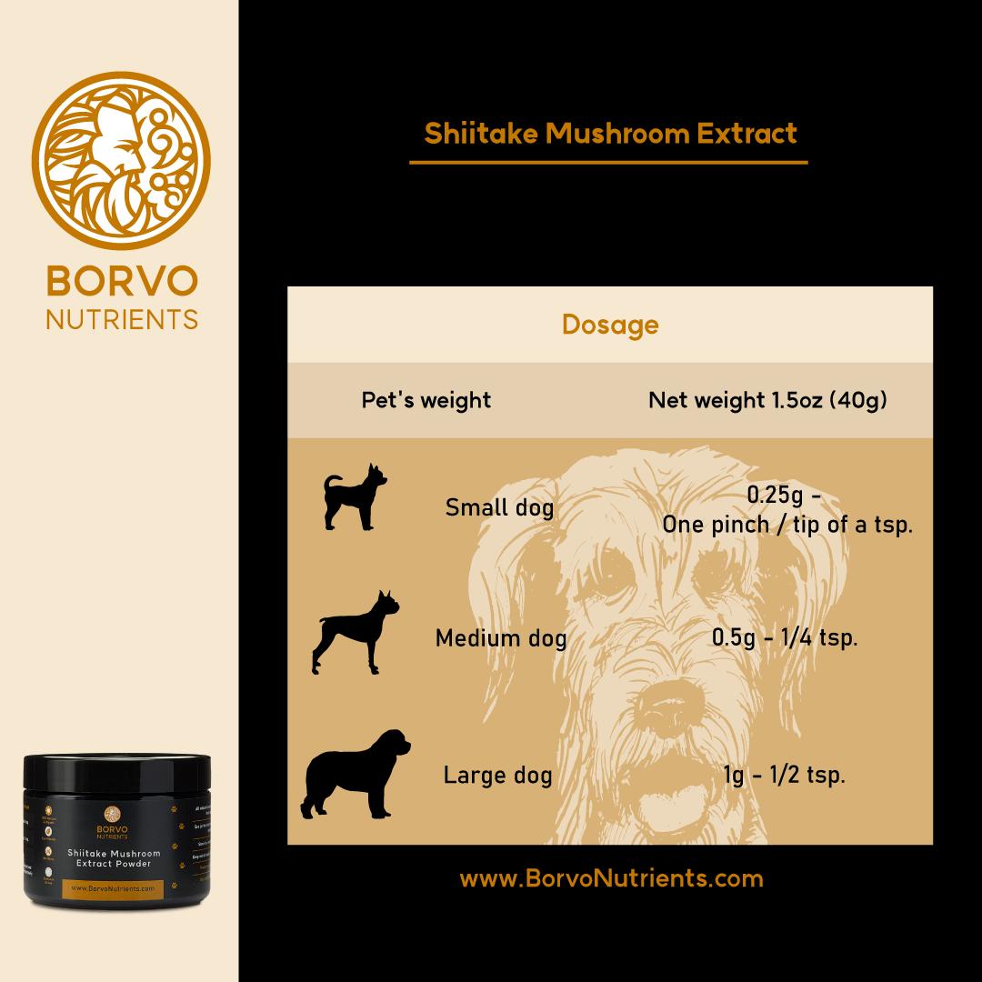 Shiitake Mushroom Extract Powder for Dogs - Ultrasound ...