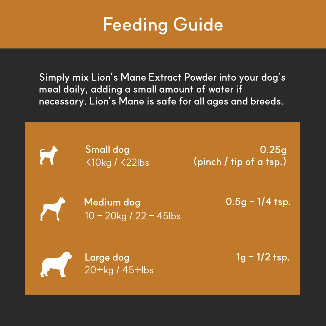 Feeding guide for Lion’s Mane Mushroom Extract Powder showing daily dosages: small dogs 0.25g, medium 0.5g, large 1g.