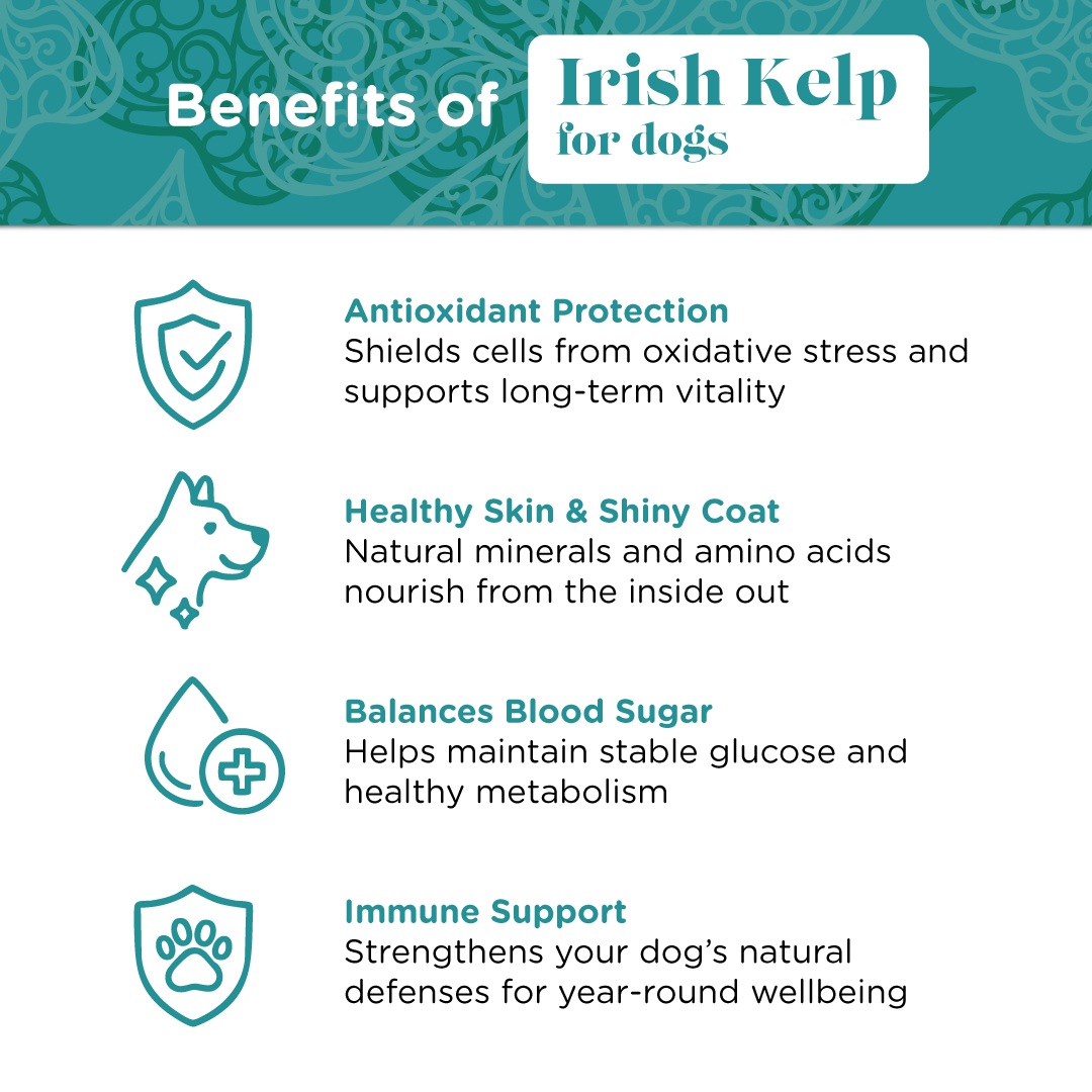 Irish Kelp for Pets | Blend of three Kelp for Dogs from Ireland - Seaweed For Dogs