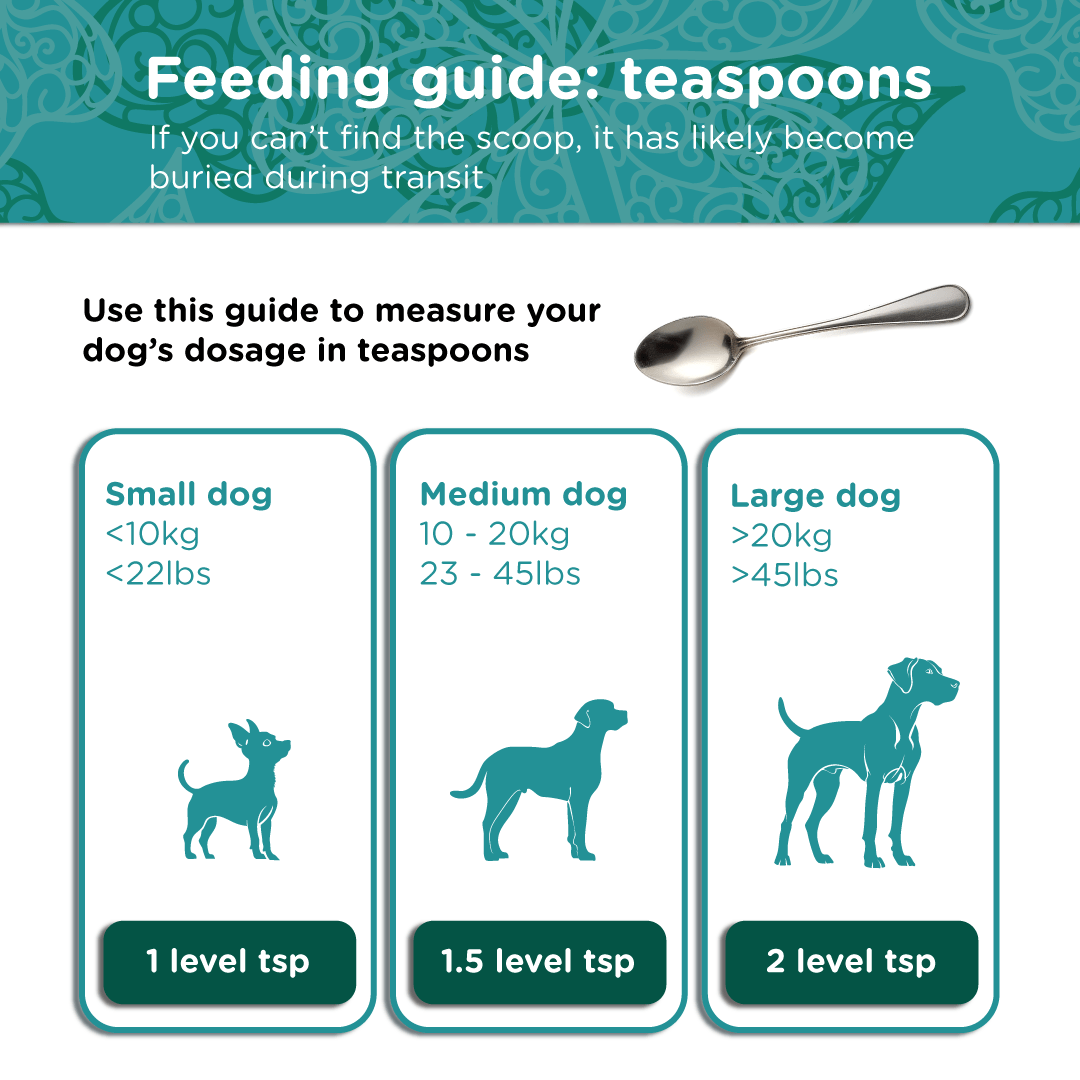 Irish Kelp for Pets | Blend of three Kelp for Dogs from Ireland - Seaweed For Dogs