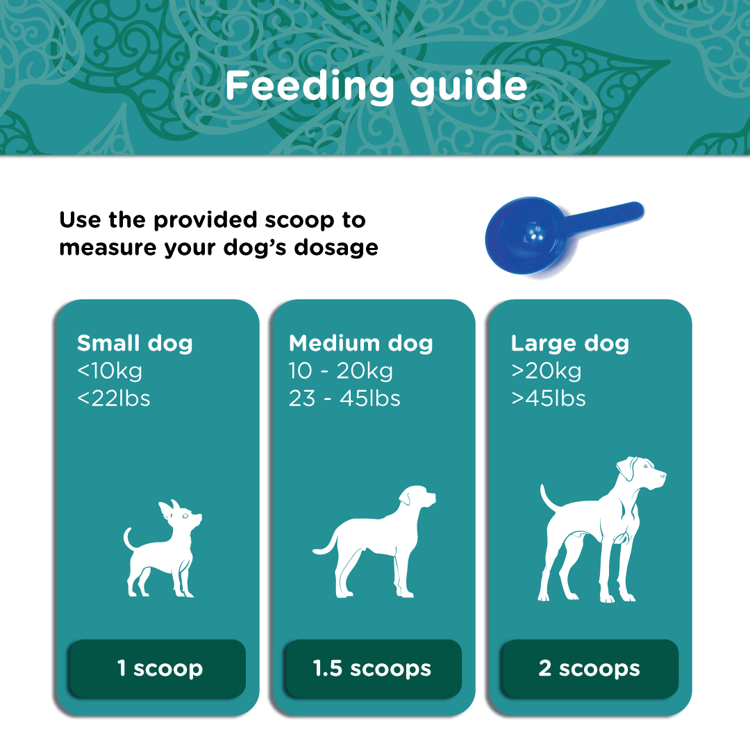 Irish Kelp for Pets | Blend of three Kelp for Dogs from Ireland - Seaweed For Dogs