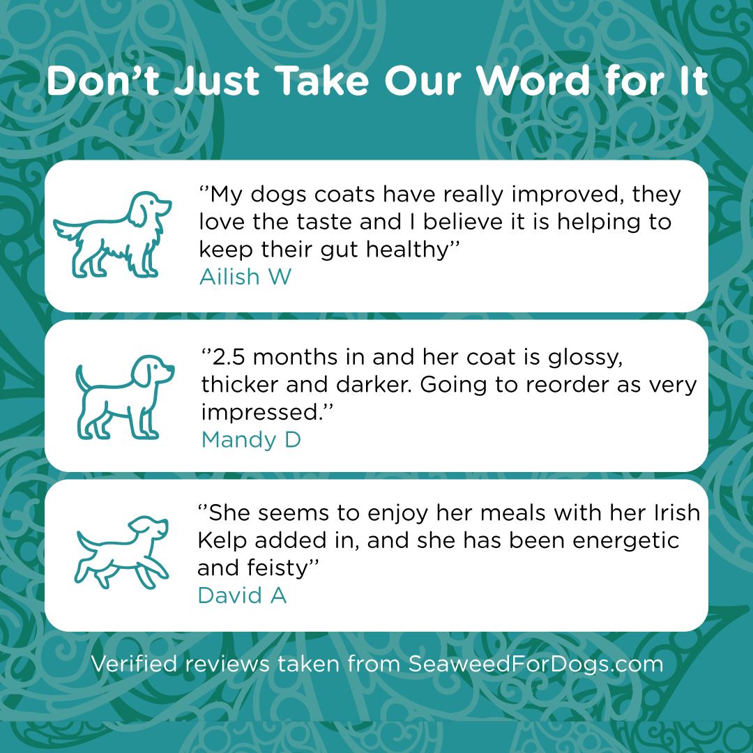 Irish Kelp for Pets | Blend of three Kelp for Dogs from Ireland - Seaweed For Dogs