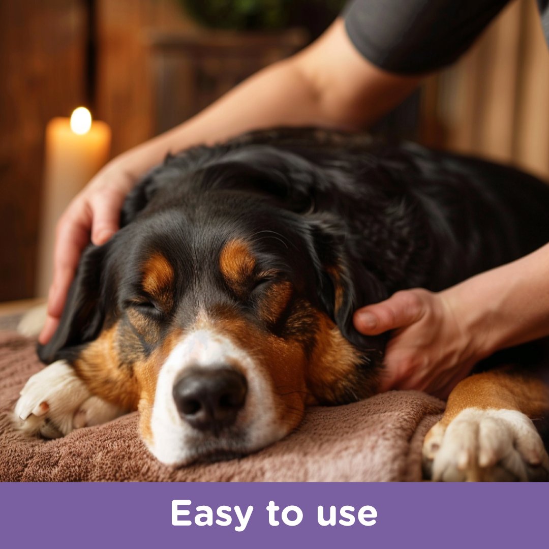Person massaging a relaxed dog on a towel, illustrating how the Joint Rub is applied. Text reads “Easy to use.”