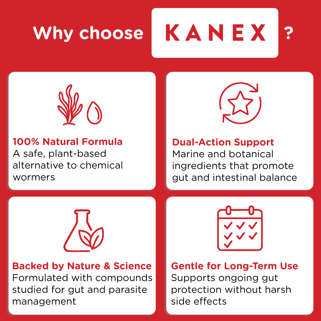 Kanex | Maintain Intestinal Hygiene in Dogs - Seaweed For Dogs