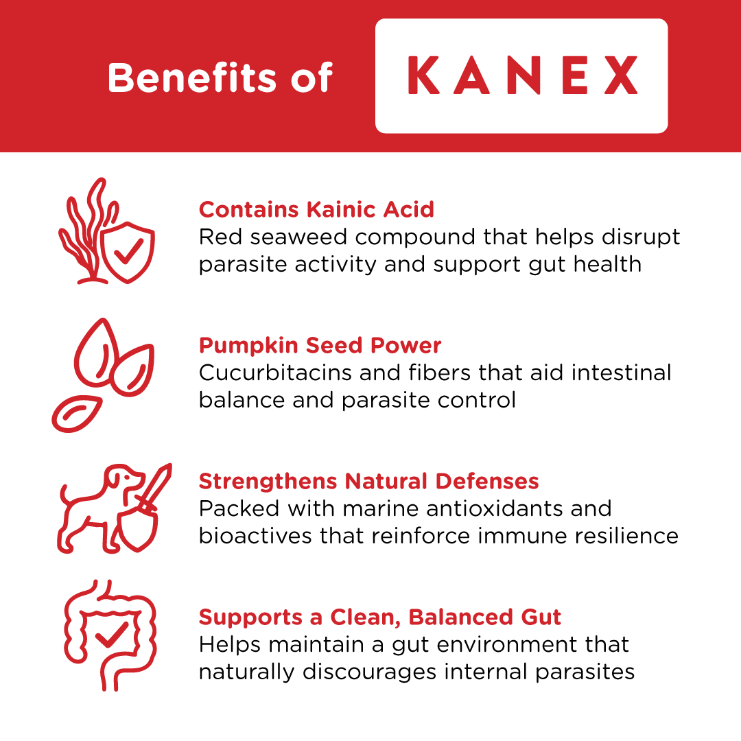 Kanex | Maintain Intestinal Hygiene in Dogs - Seaweed For Dogs