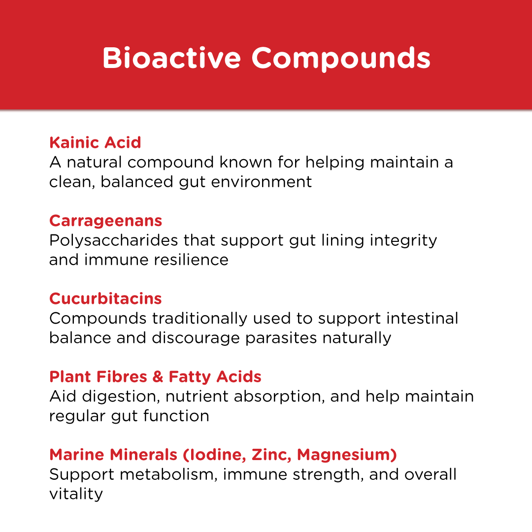 Includes kainic acid, carrageenans, cucurbitacins, plant fibers, fatty acids, and marine minerals (iodine, zinc, magnesium) for gut and immune support.