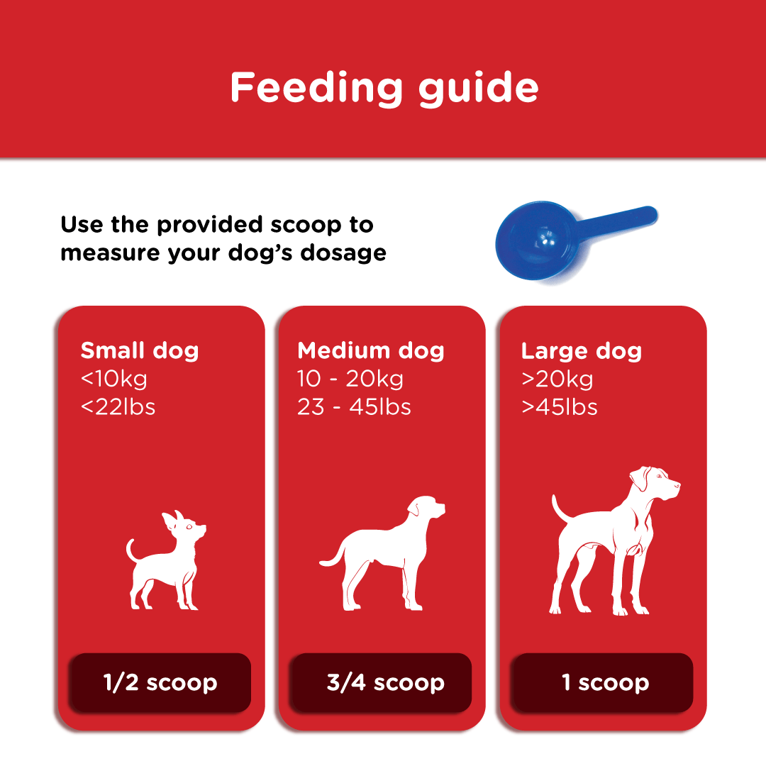 Feeding guide showing how much Kanex to give by dog size using the included scoop — ½ scoop for small dogs under 10kg, ¾ scoop for medium dogs 10–20kg, and 1 scoop for large dogs over 20kg.