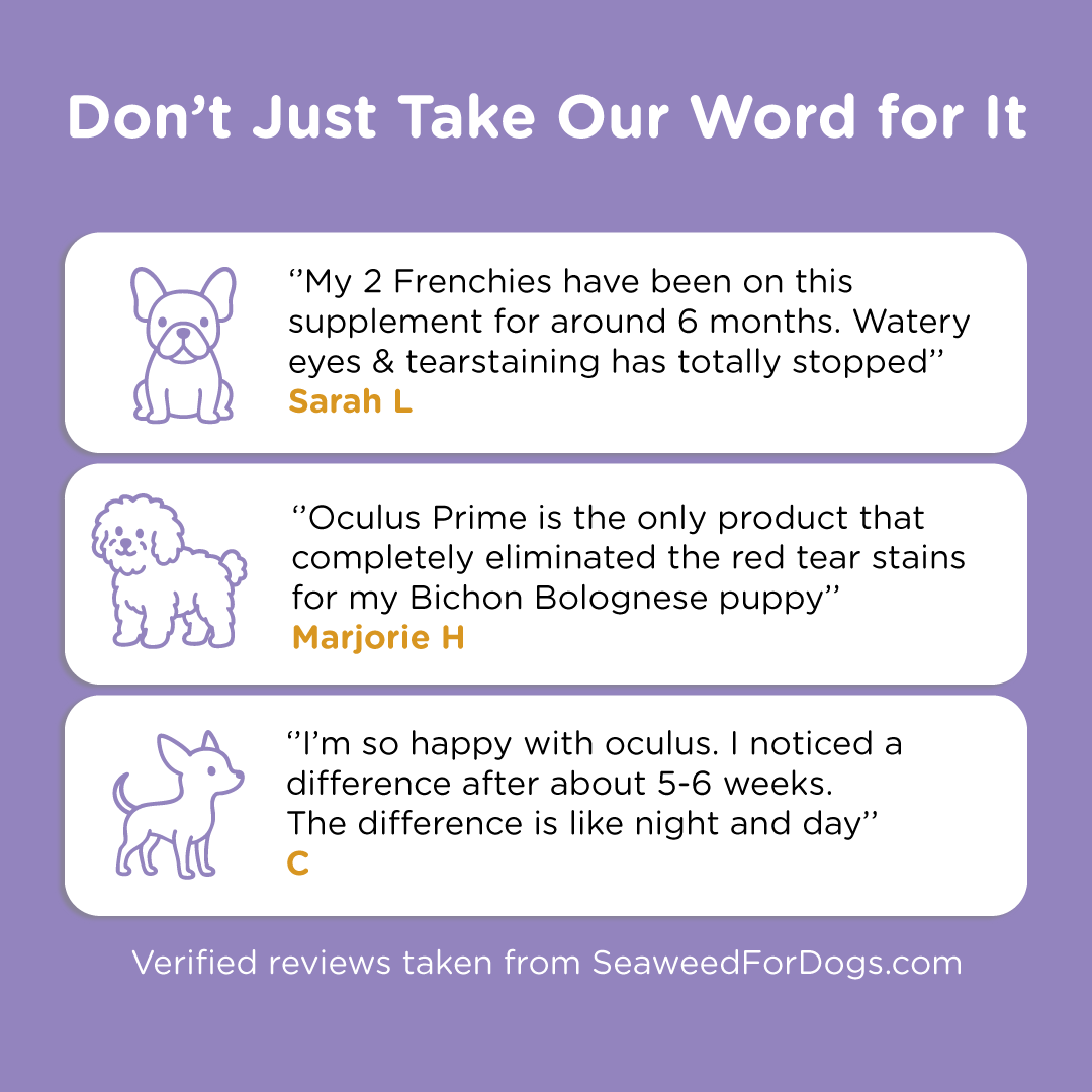 Oculus Prime | Natural Tear Stain Remover For Dogs - Seaweed For Dogs