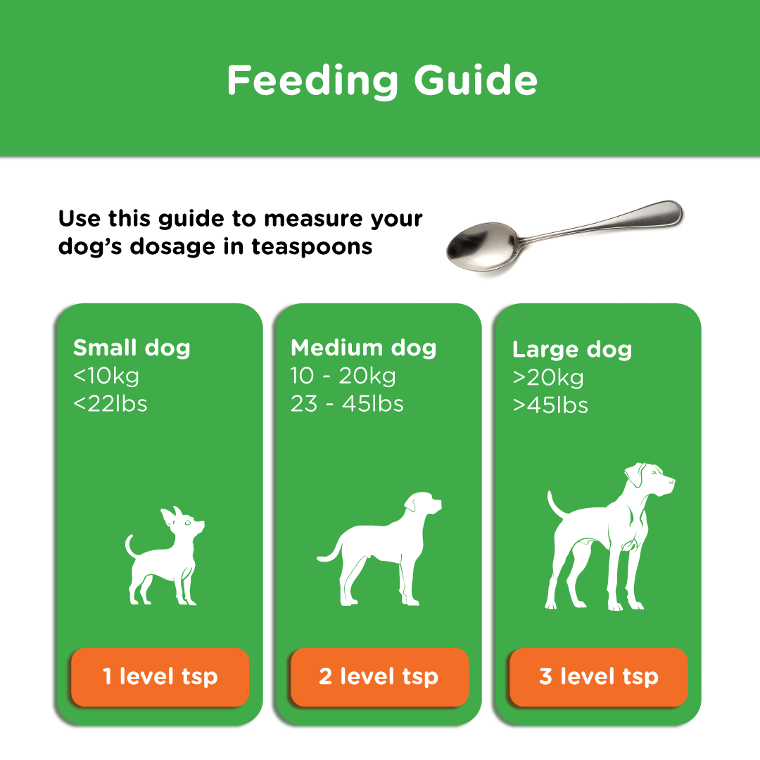 Feeding guide for Stoolrite showing dosage in teaspoons — 1 level teaspoon for small dogs under 10kg, 2 for medium dogs 10–20kg, and 3 for large dogs over 20kg.