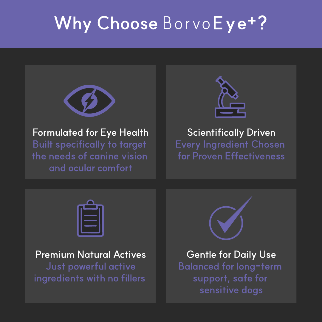 Infographic explaining why to choose BorvoEye+ — formulated for eye health, science-backed, natural actives, and safe for daily use.