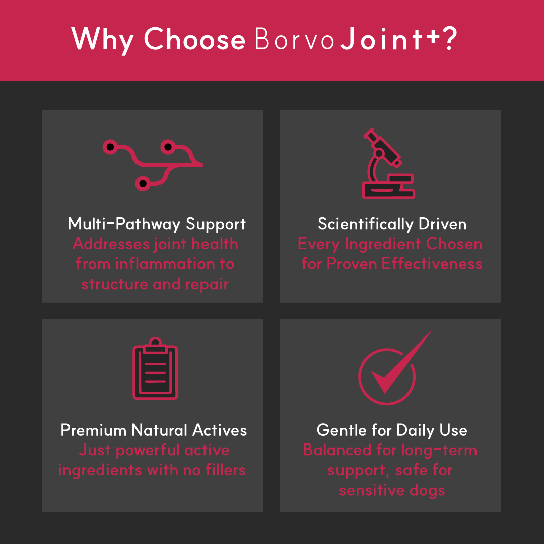 Infographic explaining why to choose BorvoJoint+ — multi-pathway joint support, scientifically formulated, natural actives, and safe for daily use.