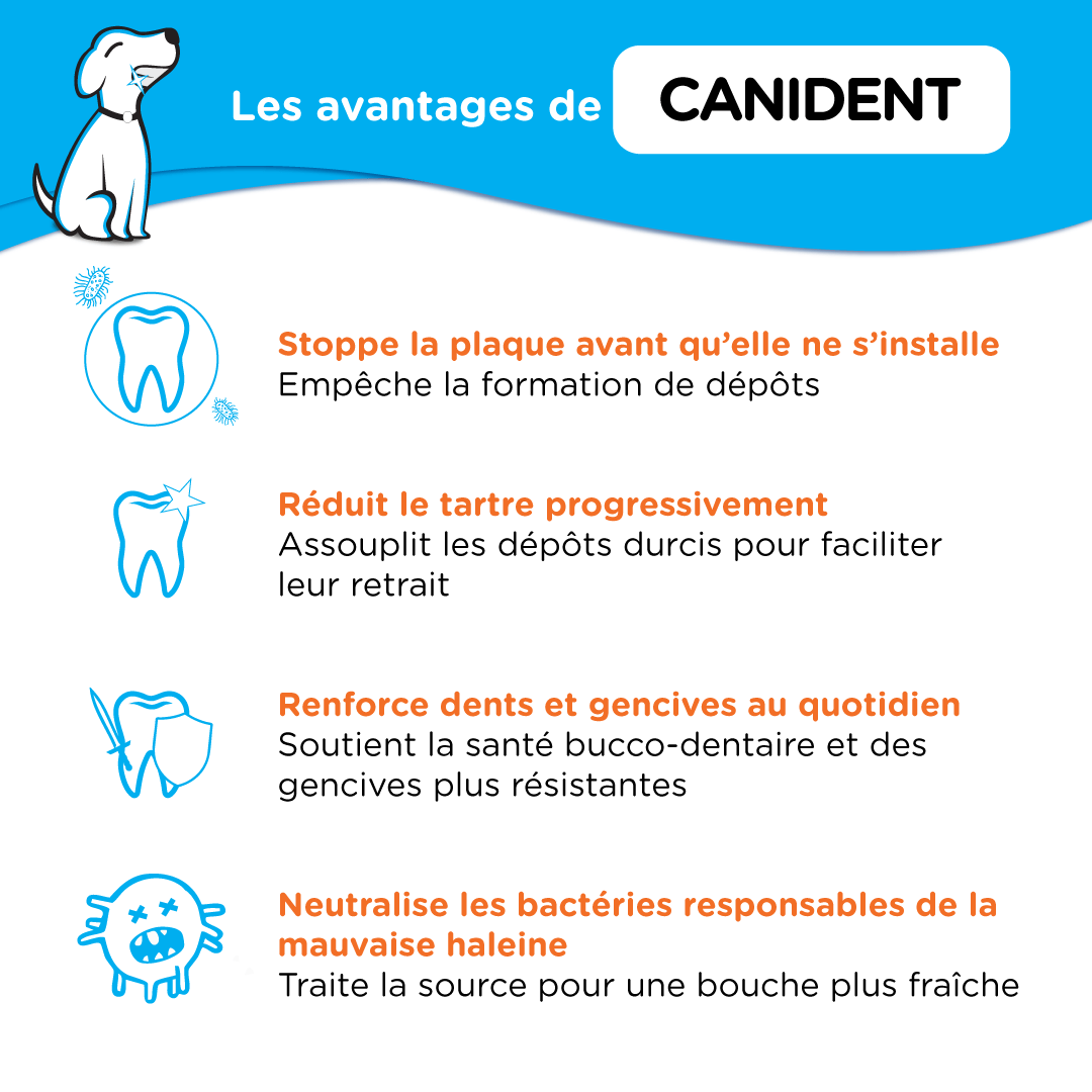 Canident - Clean Dogs Teeth, Fix Bad Breath and Remove Plaque - Seaweed For Dogs