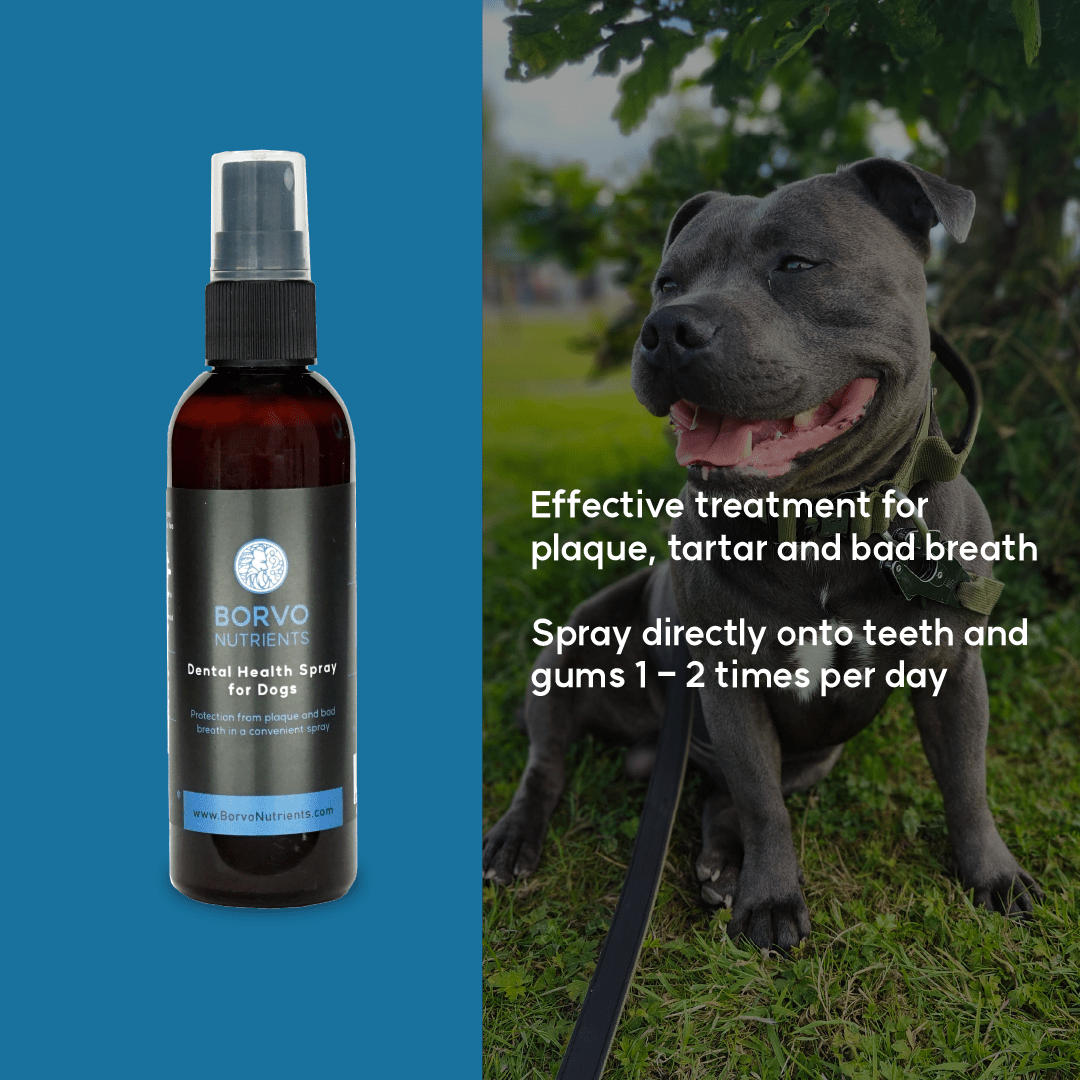 Dental Health Spray for dogs