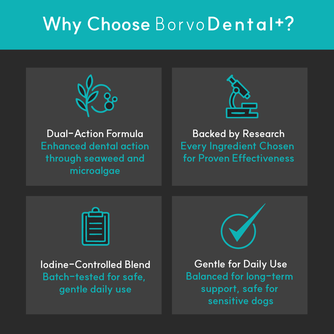 Dental + | Stop bad breath, prevent plaque and remove tartar - Seaweed For Dogs