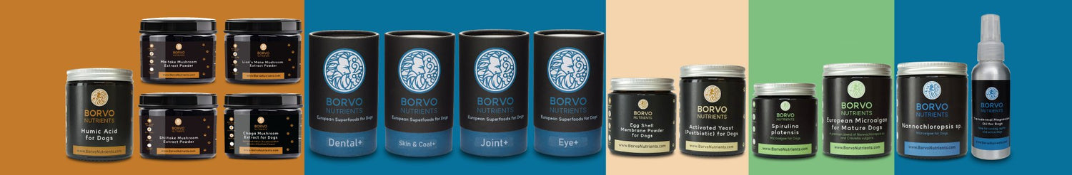 Borvo Nutrients - Seaweed For Dogs