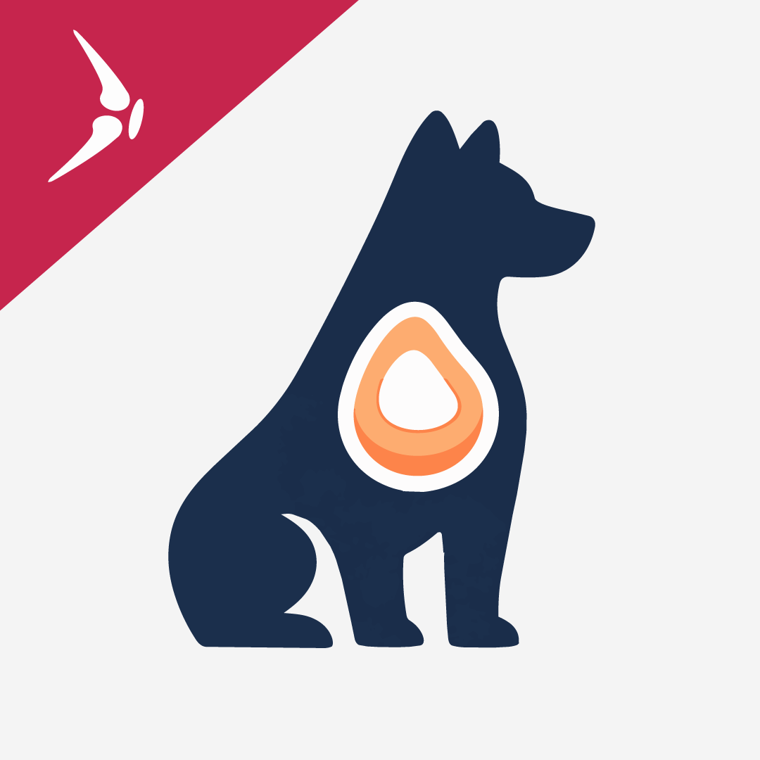 Egg Shell Membrane for Dogs: Processing, Extraction Methods, and Global Sourcing