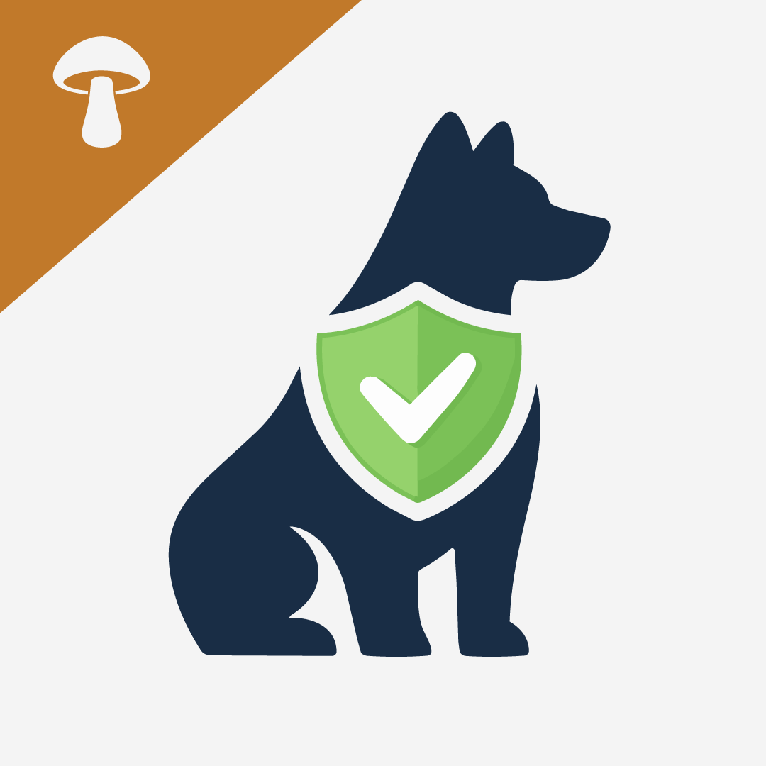 Benefits Of Chaga Mushroom Extract For Dogs