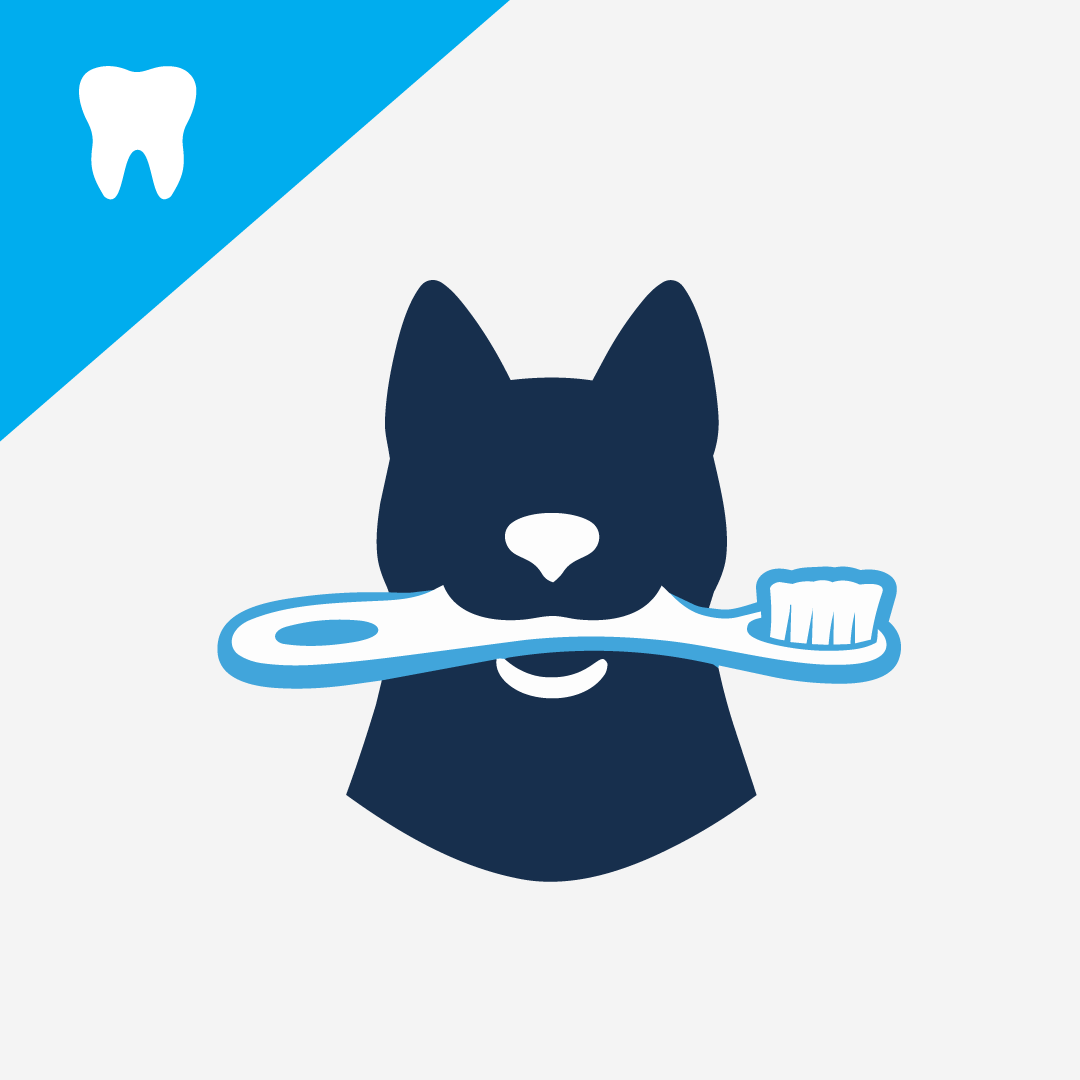 Best Dog Toothpastes