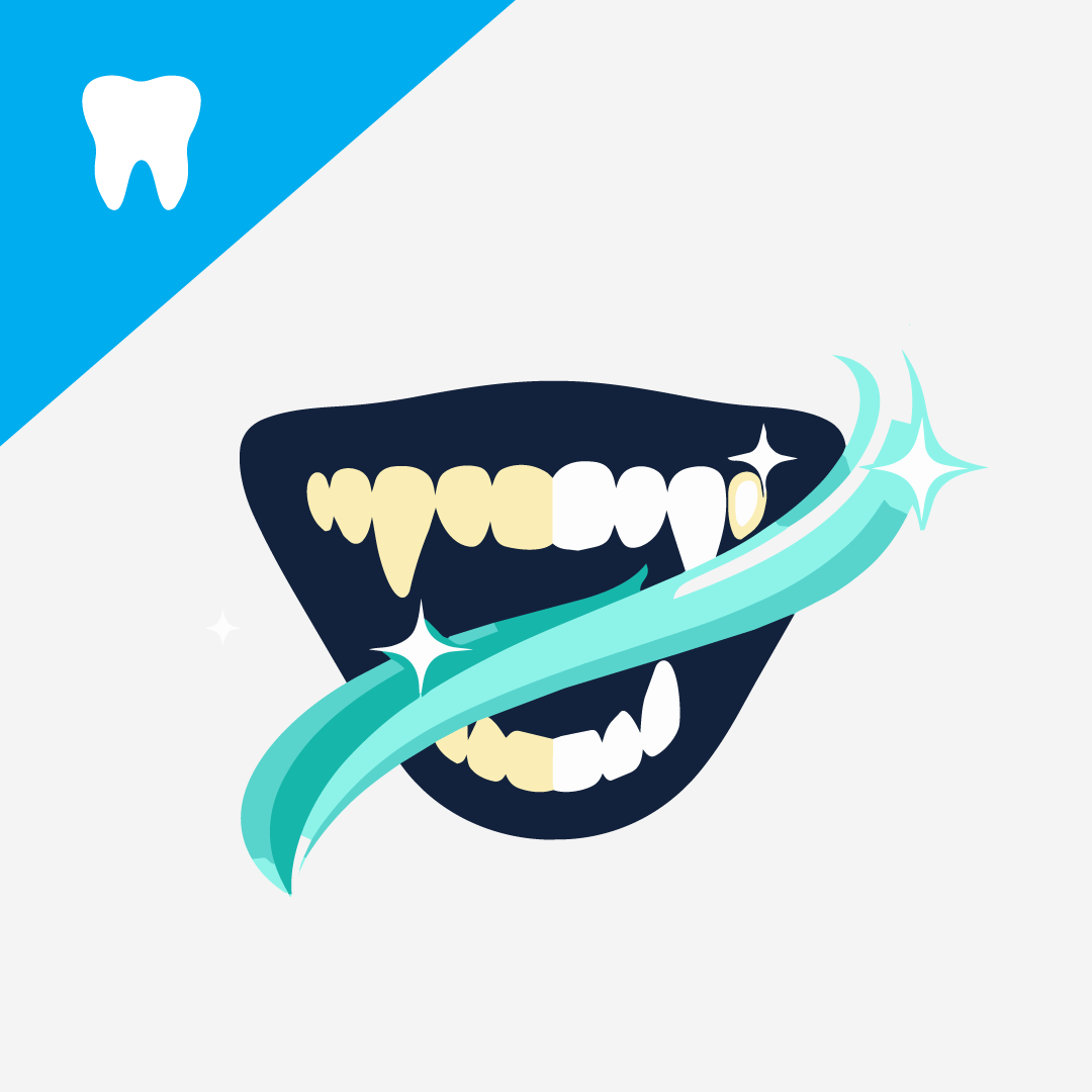 Removing Plaque from Your Dog's Teeth: A Step-by-Step Guide