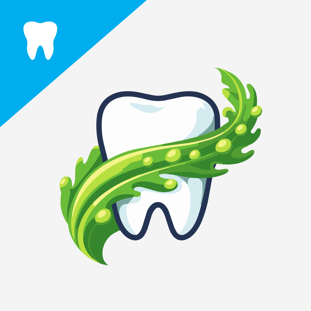 Why is seaweed good for dog's dental health?