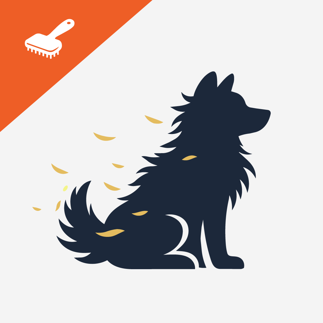 Shedding in Dogs: Natural Solutions from Seaweed for Dogs