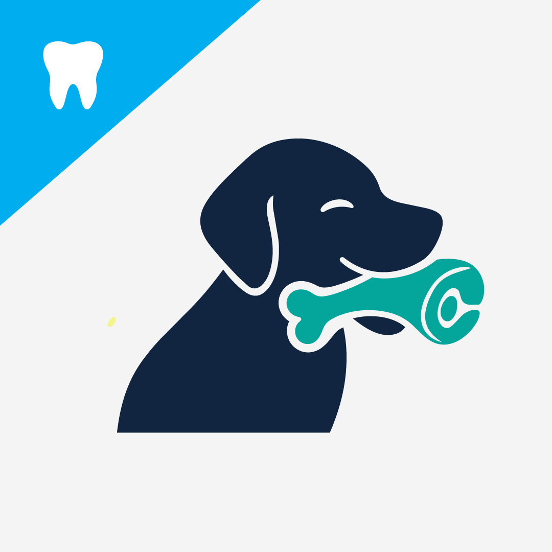 The Complete Guide to Removing Plaque from Your Dog's Teeth