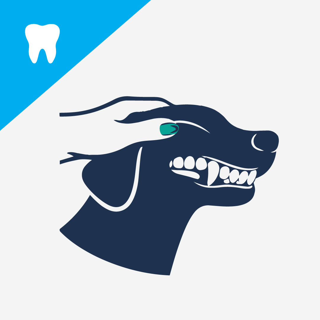 Alternatives to Tooth Brushing For Dogs