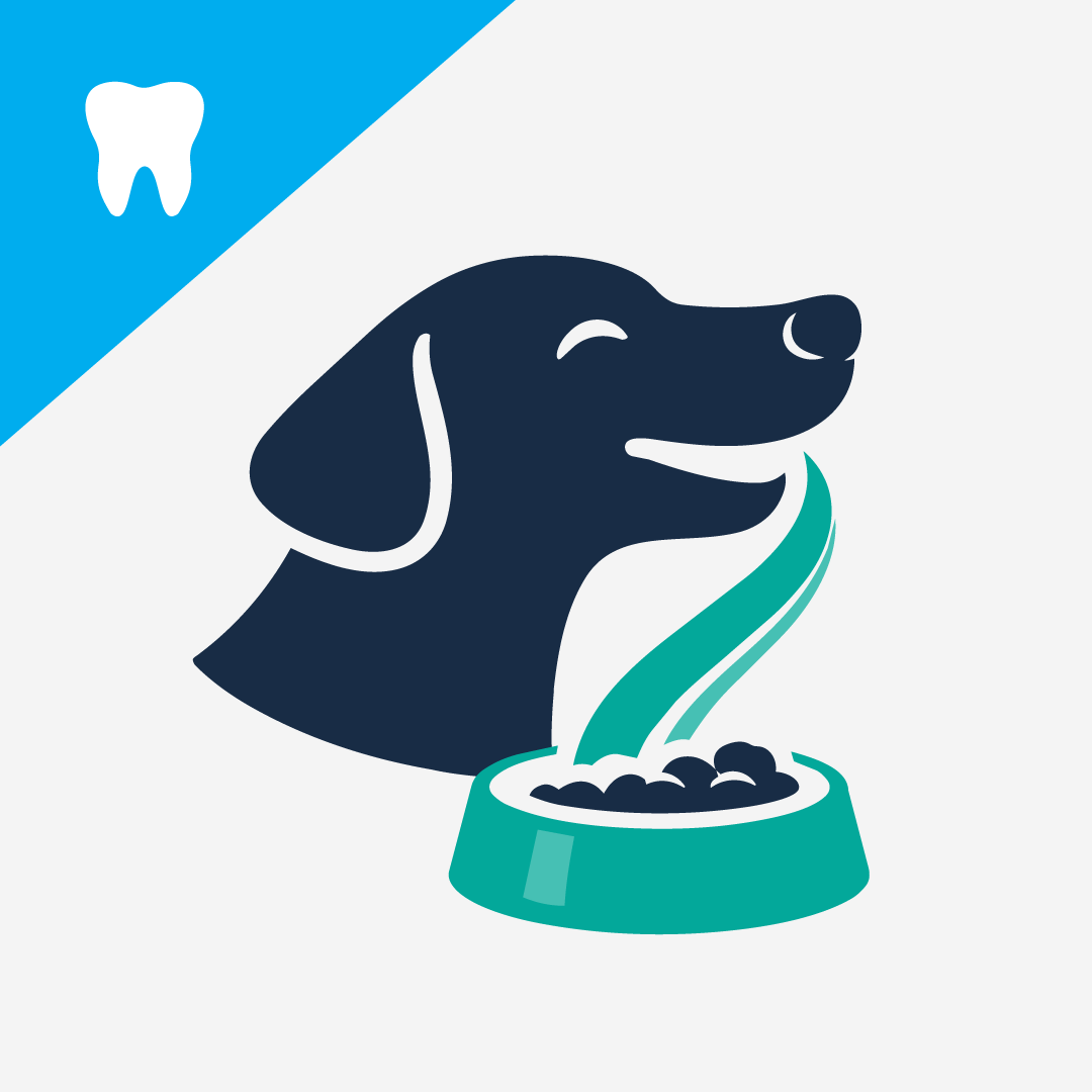 The Role Of Diet & Natural Supplements In Preventing Dental Disease In Dogs