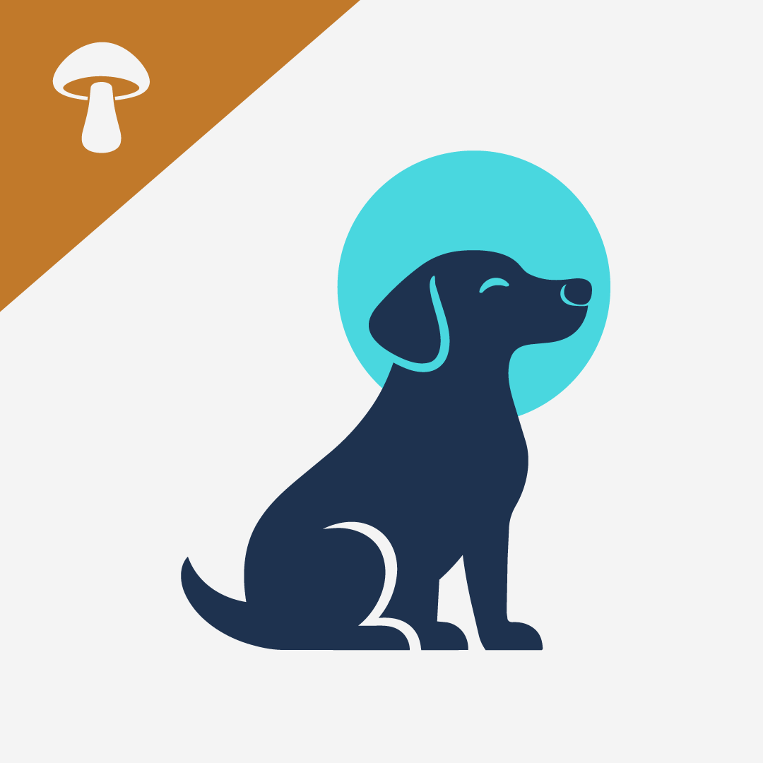 Benefits of Shiitake Mushrooms for Dogs