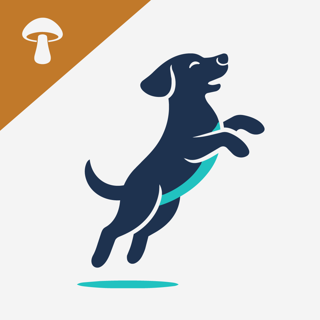 Benefits of Maitake Mushrooms for Dogs