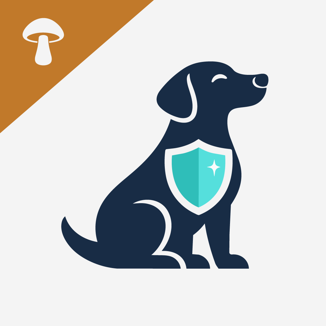 Beta-Glucans for Dogs: How Medicinal Mushrooms Boost Canine Health