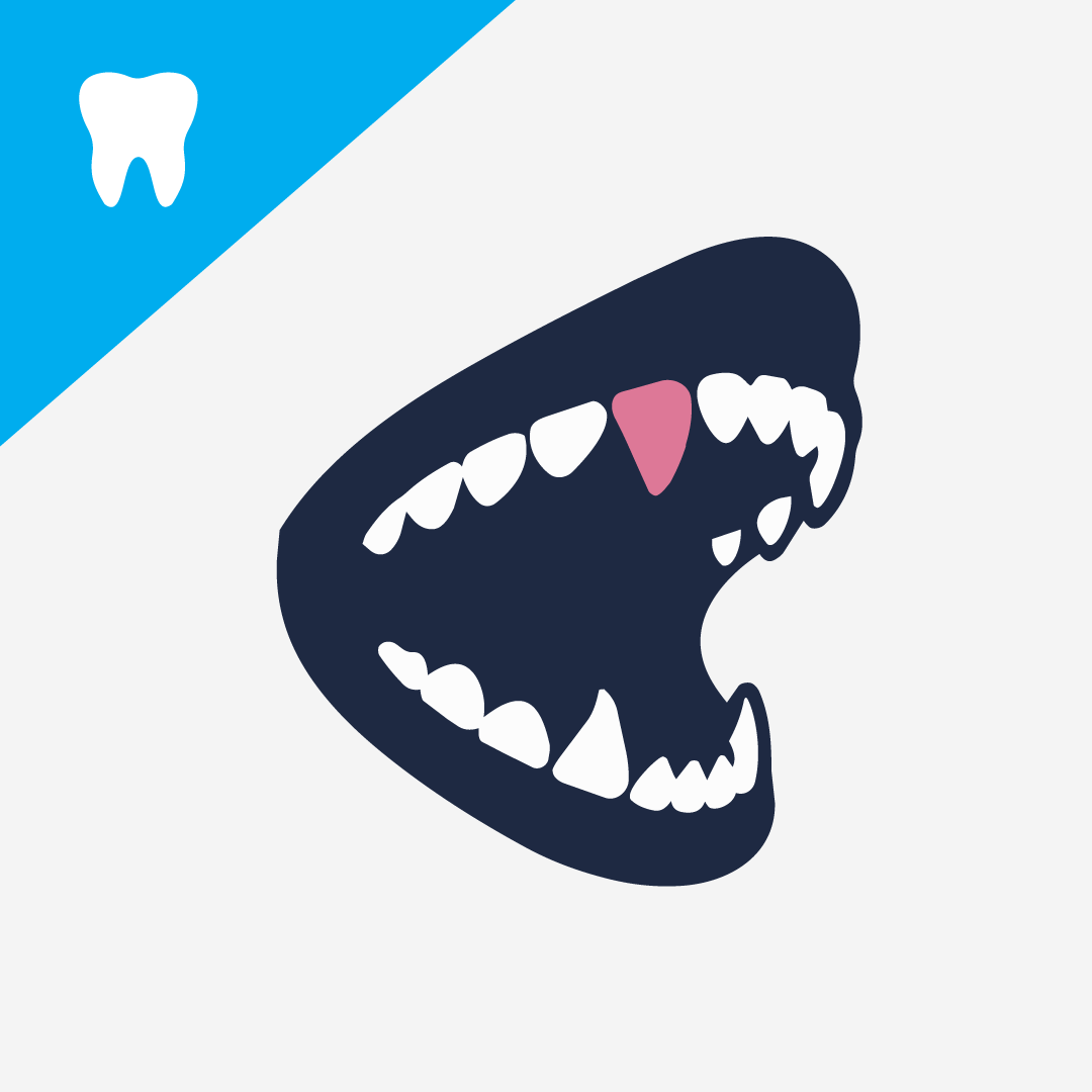 Dog Dental Emergencies: What Every Owner Should Know