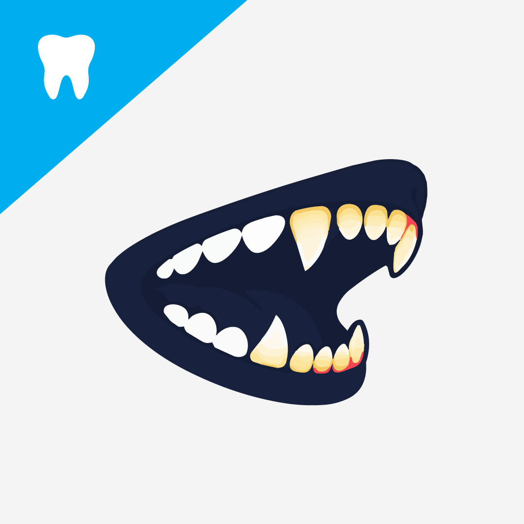 From Plaque to Periodontitis: Understanding the Stages of Dental Disease in Dogs