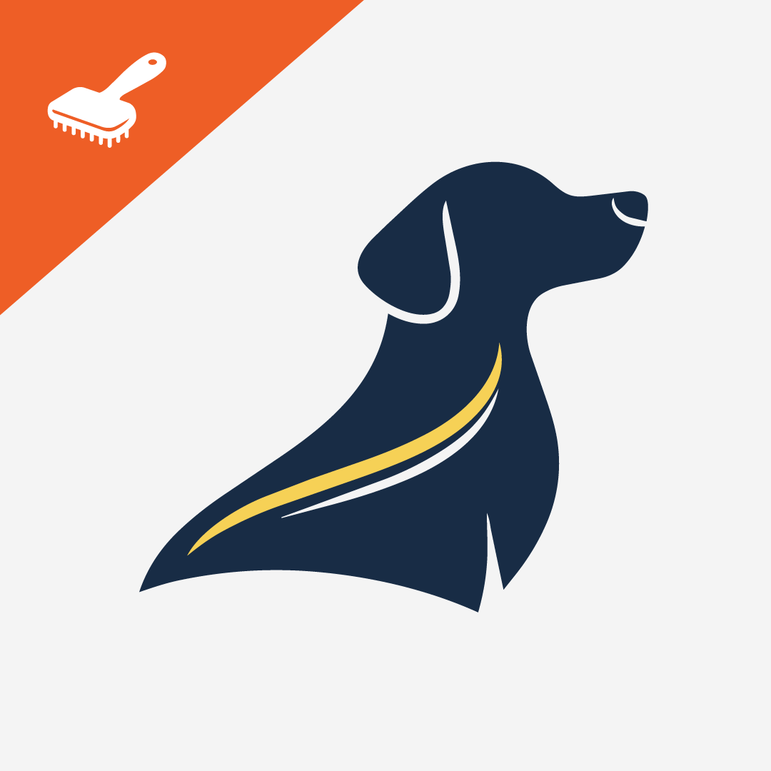 How to Reduce Shedding in Dogs Naturally: Expert Guide to a Healthier Coat