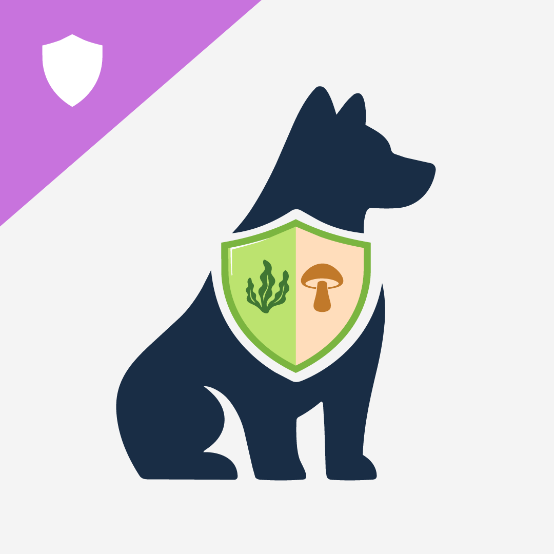 Polysaccharides for Dogs: Seaweed, Medicinal Mushrooms, and Microalgae in Canine Health