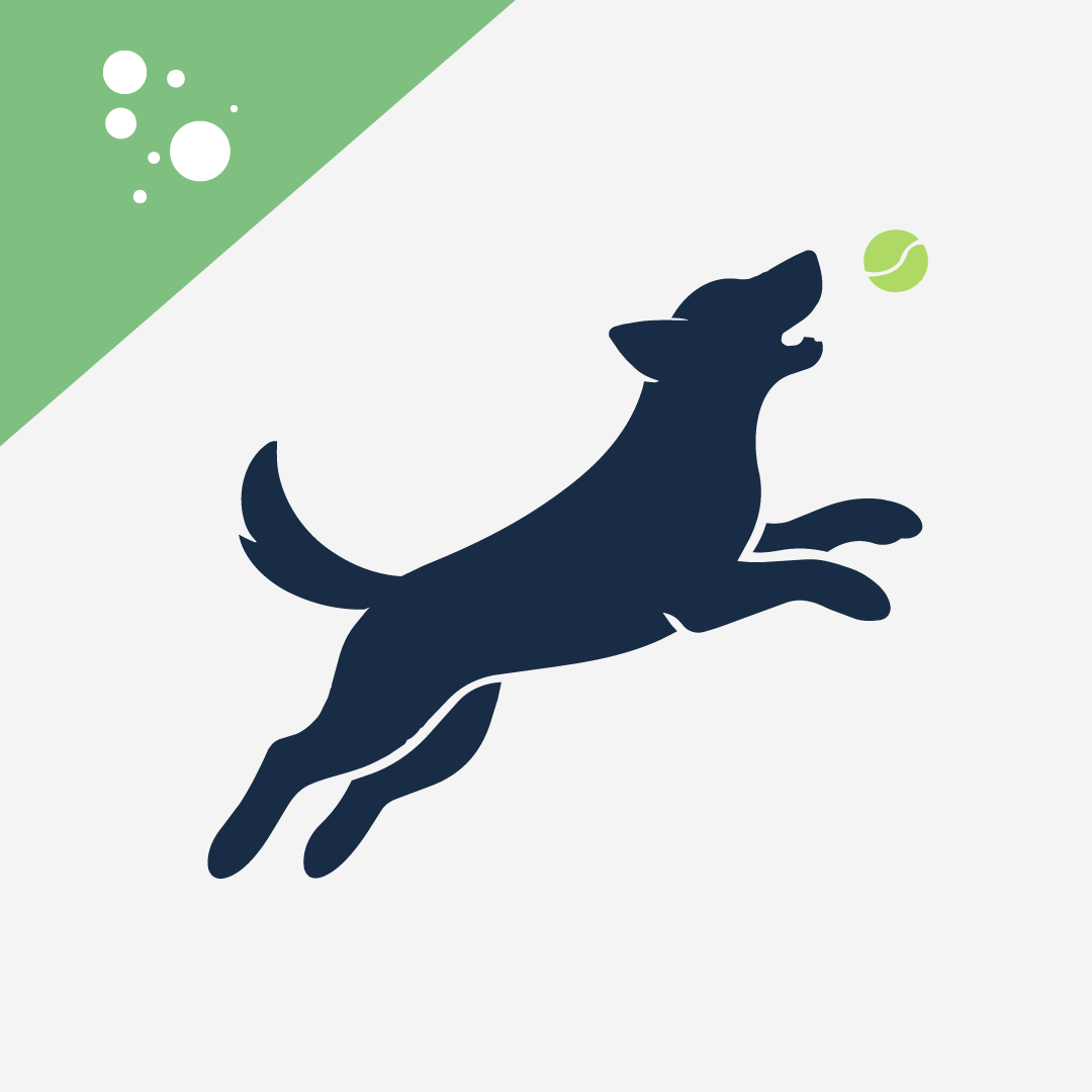 Benefits of Spirulina for Dogs