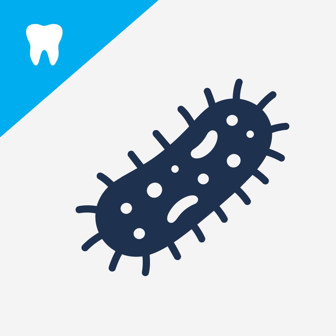Types of Bacteria that form Plaque in Dogs